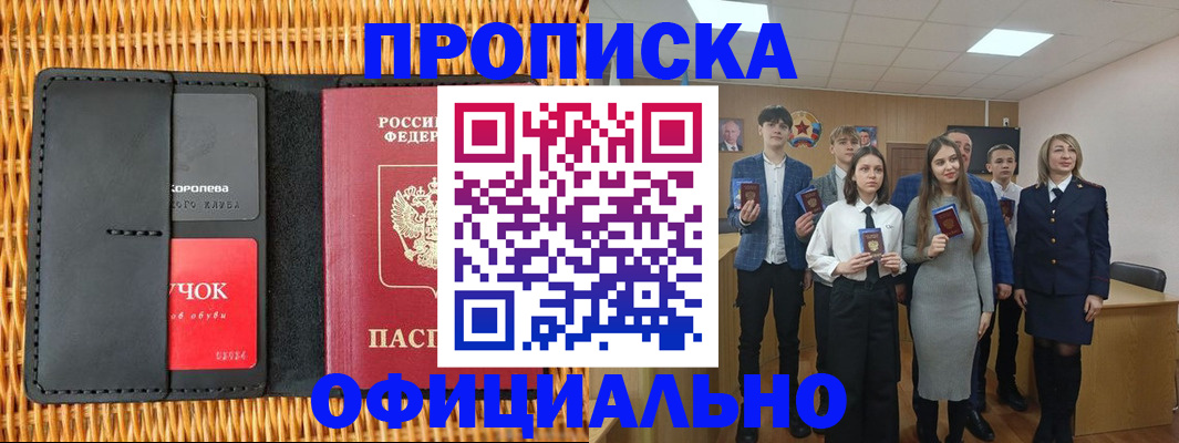 регистрация для дет. сада в Снежногорске